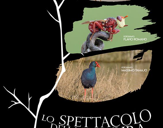 Mostra Fotografica Naturalistica, presso il Centro Visitatori della R.N.O. Oasi Faunistica di Vendicari (Noto)