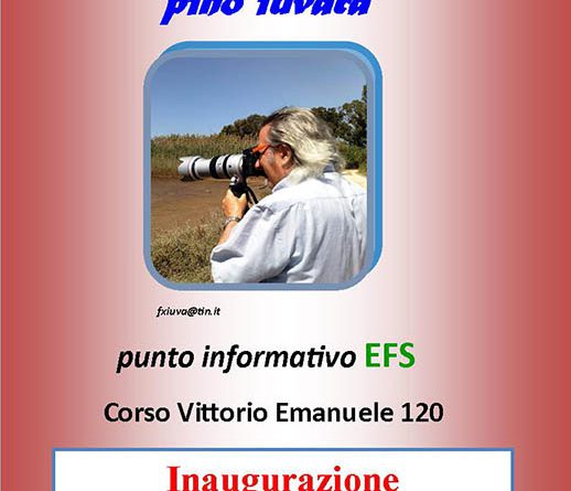 22/06/2014: Noto – c/o Centro Informativo Inaugurazione mostra fotografica di Pino Iuvara "I miei amici con le ali"